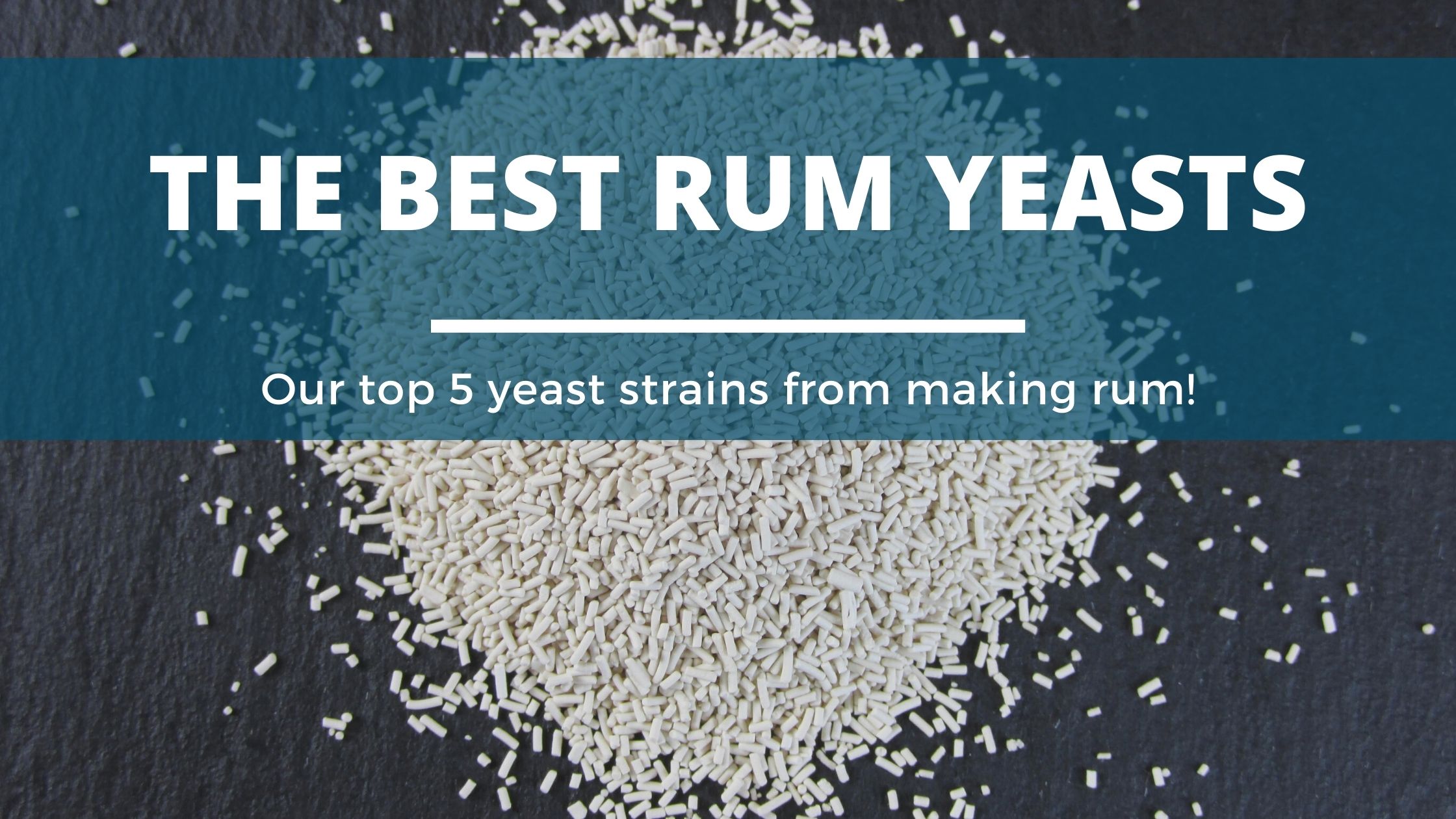 Image of DIY Distilling The best yeast for making Rum and rhum agricole