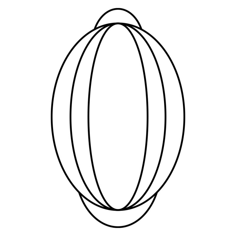 A Complete Guide To Gin Botanicals 13 Image of DIY Distilling Cardamom