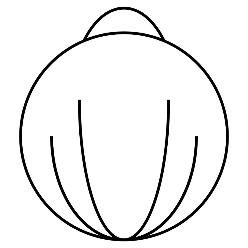 A Complete Guide To Gin Botanicals 3 Image of DIY Distilling Corriander Seeds 1