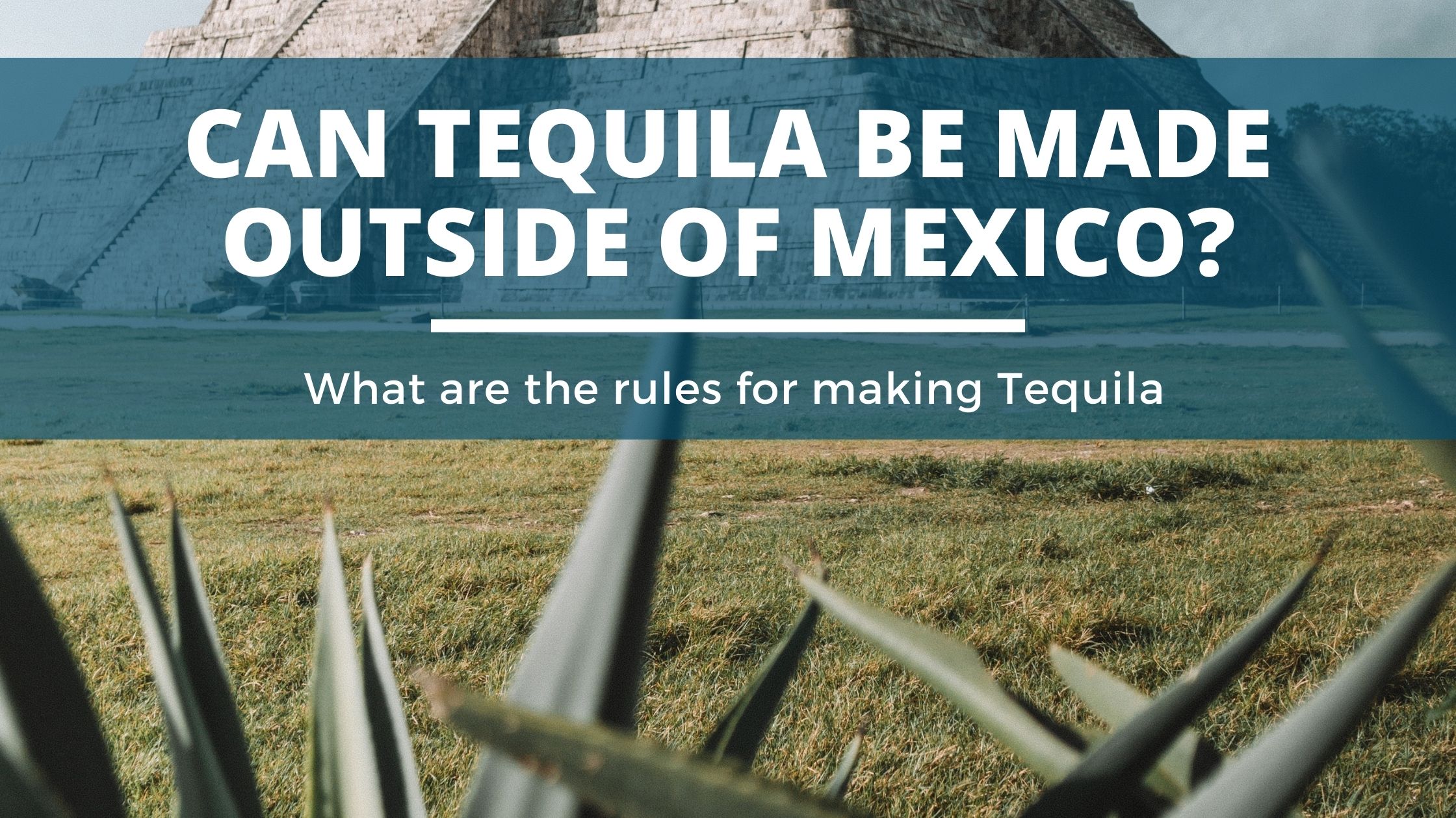 Image of DIY Distilling Can tequila be made outside of mexico or in the usa