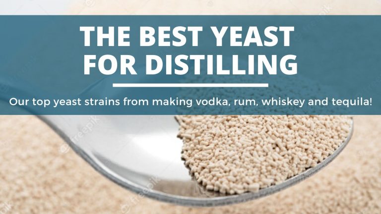 The Best Yeasts For Distilling (Our Top 4!)