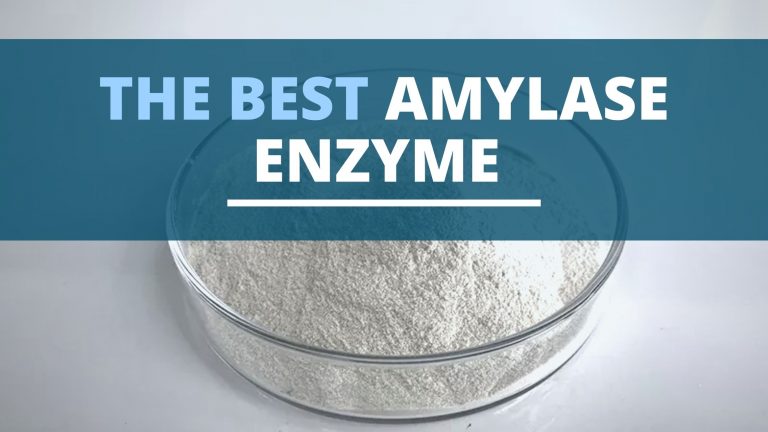 The Best Amylase For Brewing And Distilling (+ How To Use It)