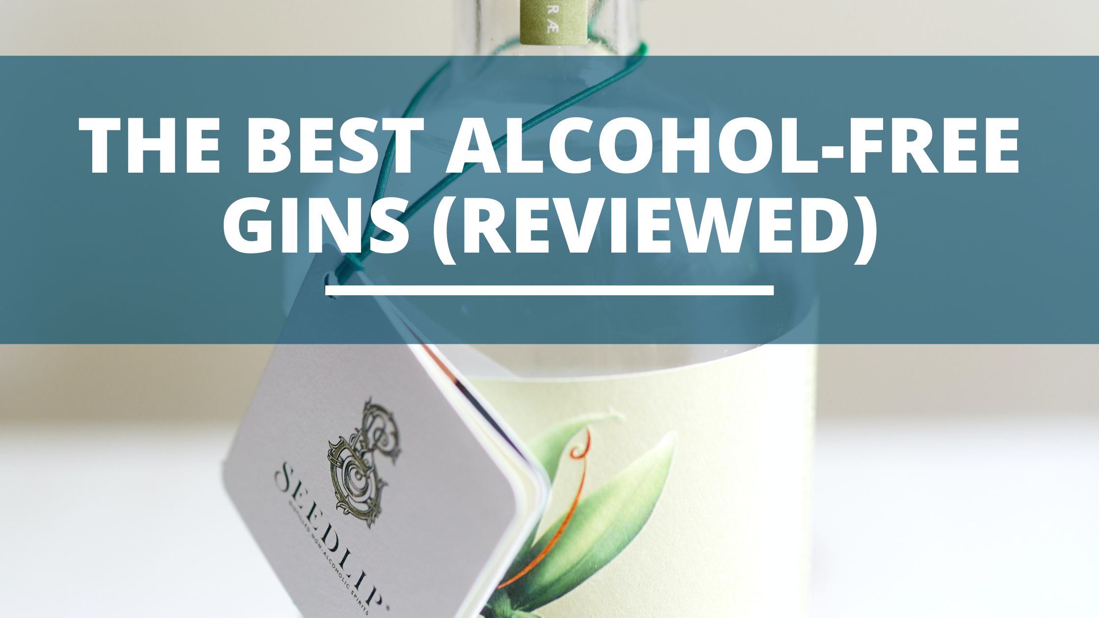 Image of DIY DISTILLING Best alcohol free gin non alcohol gin reviewed