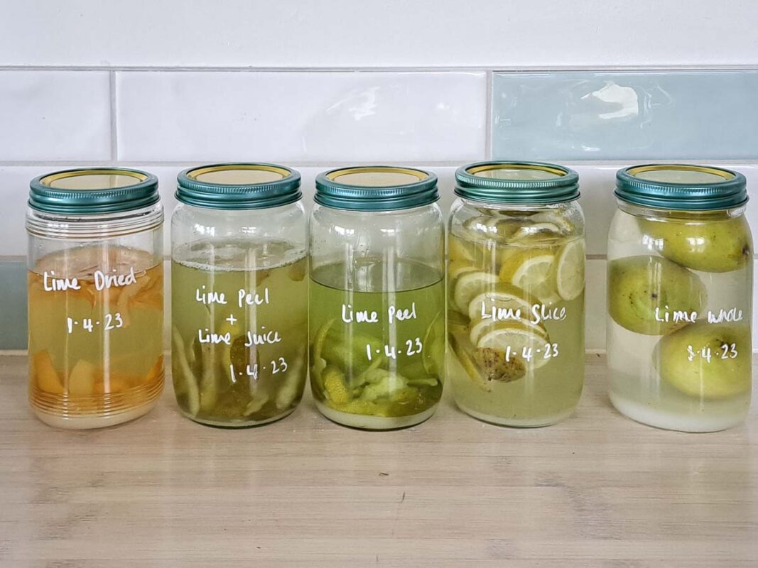 Best Limecello Recipe (We Tested 5 Variations!) 2 Image of DIY Distilling 5 different recipes for limecello