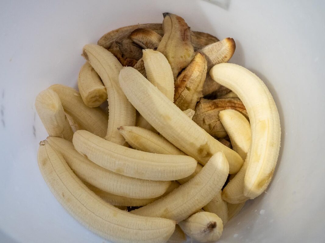 Banana Moonshine Recipe (How To Make Easy Banana Brandy At Home) 8 Image of DIY Distilling adding the bananas to the fermenter