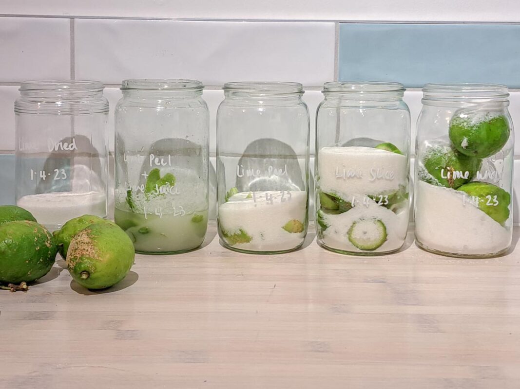 Best Limecello Recipe (We Tested 5 Variations!) 8 Image of DIY Distilling different types of lime infused for limecello
