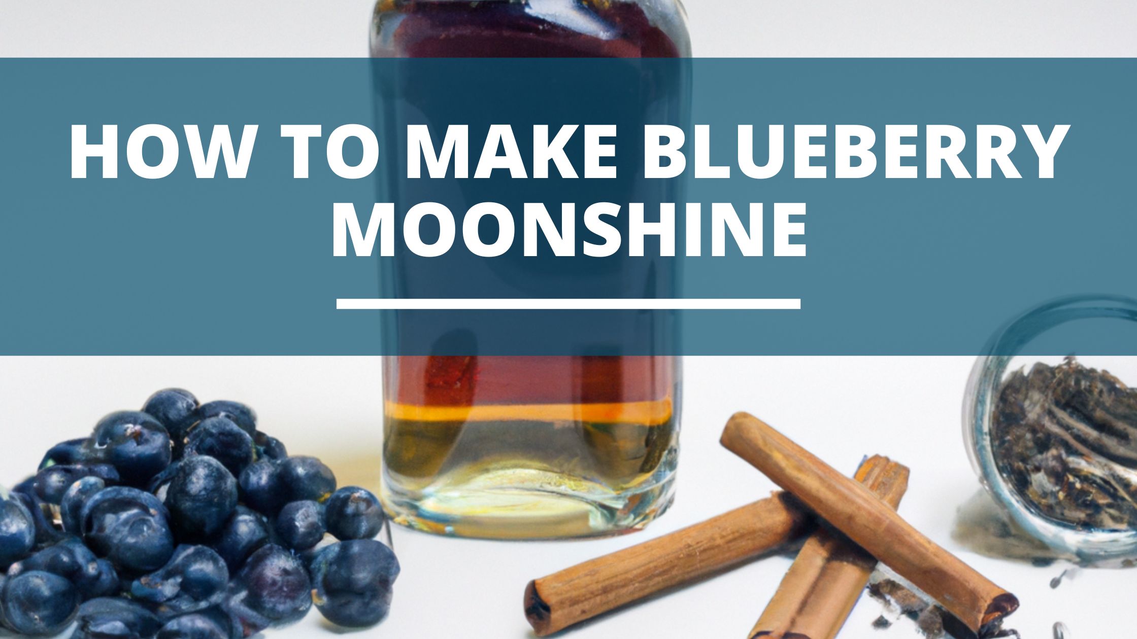 Image of DIY DISTILLING Banner 1