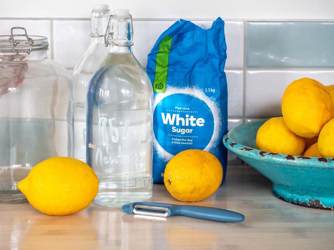 Image of DIY Distilling how to make limoncello at home