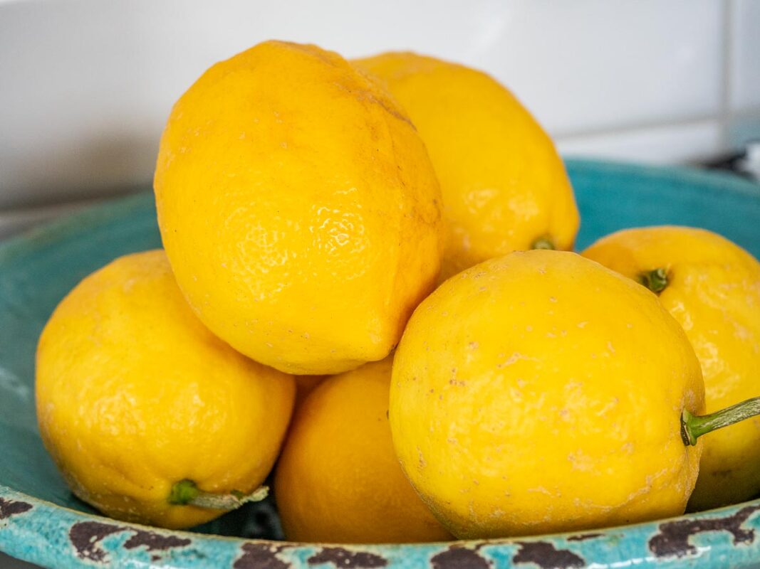 Image of DIY Distilling the best lemons for limoncello