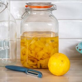 Image of DIY Distilling the best limoncello recipe 2