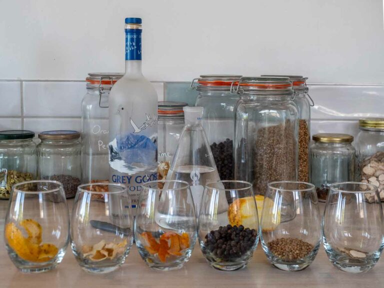 Easy Bathtub Gin Recipe (No Distillation Required!)